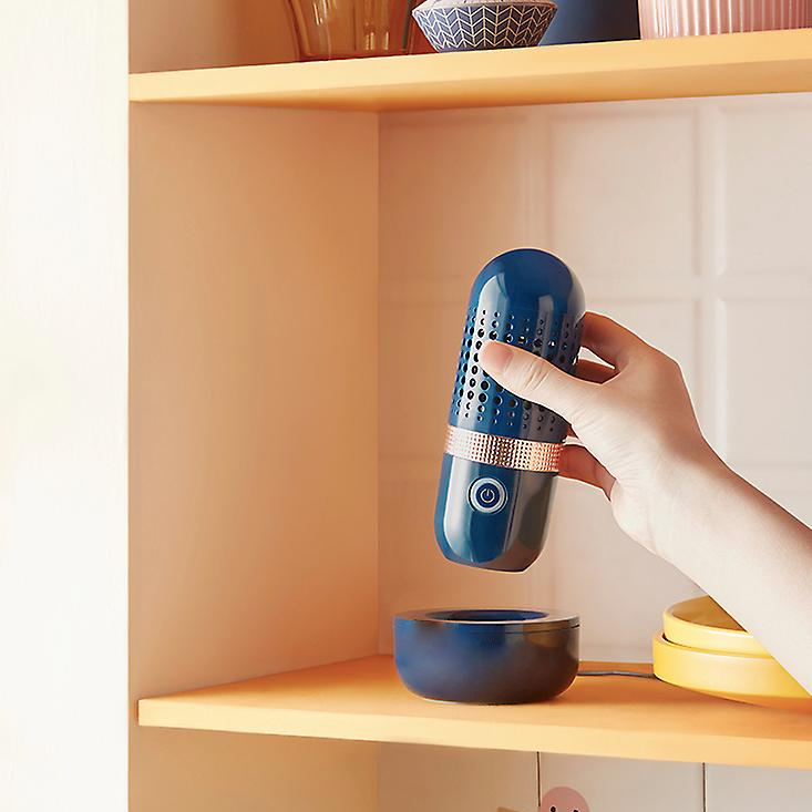 Raxiva-capsule automatic vegetable fruit washing machine home pesticide cleaner