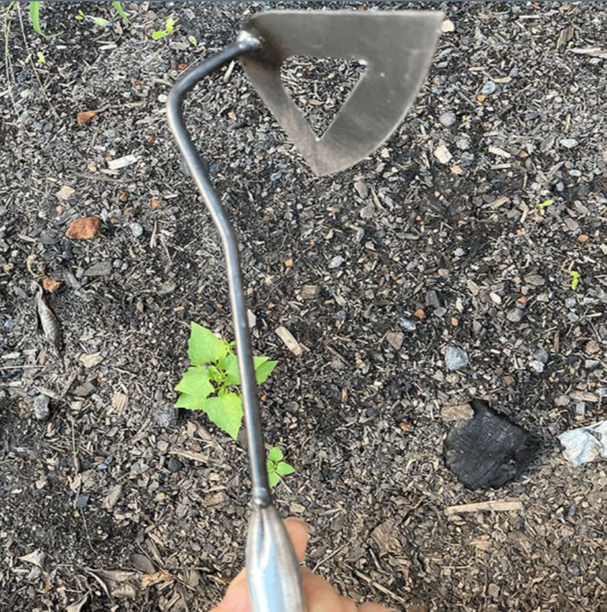 Raxiva-all steel hollow hoe for gardening
