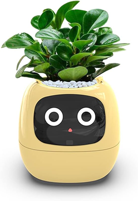 Raxiva-ivybot le compagnon vegetal revolutionnaire