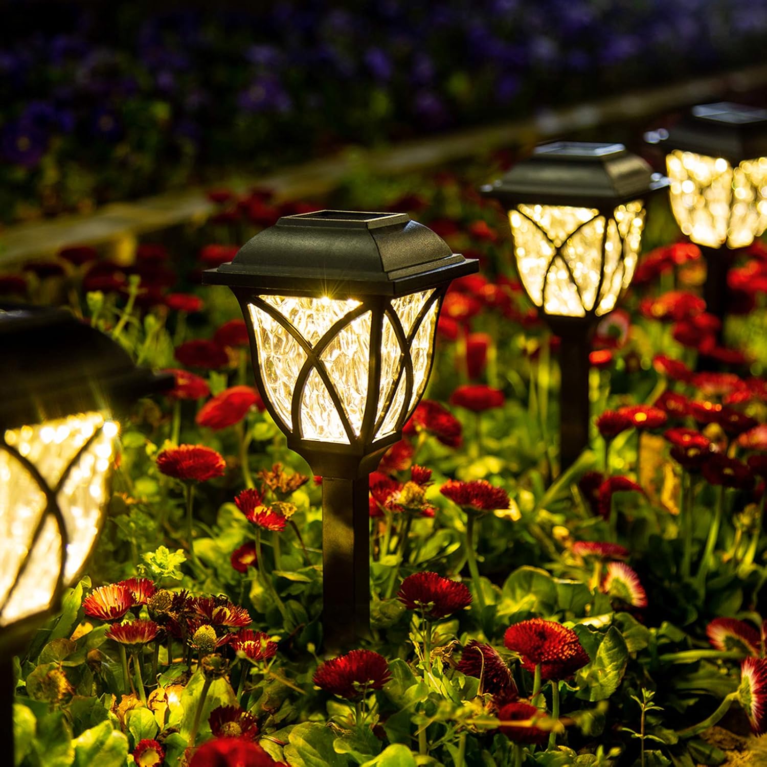 Raxiva-6 pack led solar pathway garden lights outdoor