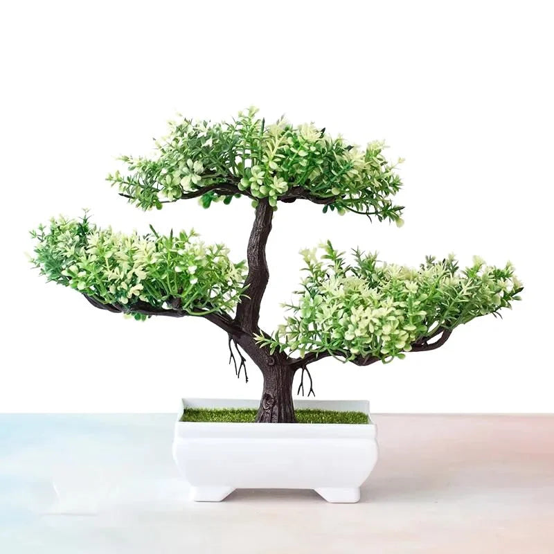 Raxiva bonsai decorative plants