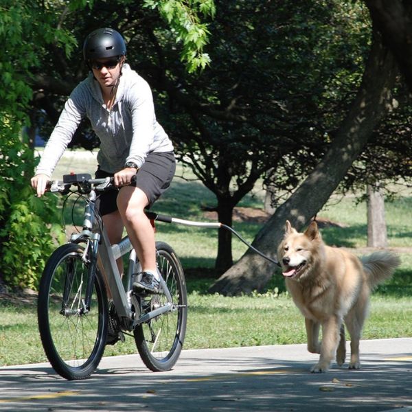 Raxiva-dog bicycle harness