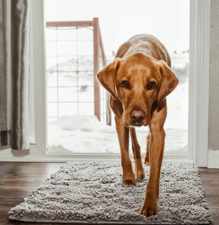 Raxiva-tapis microfibre ultra absorbant antiderapant lavable pour chien pawdry