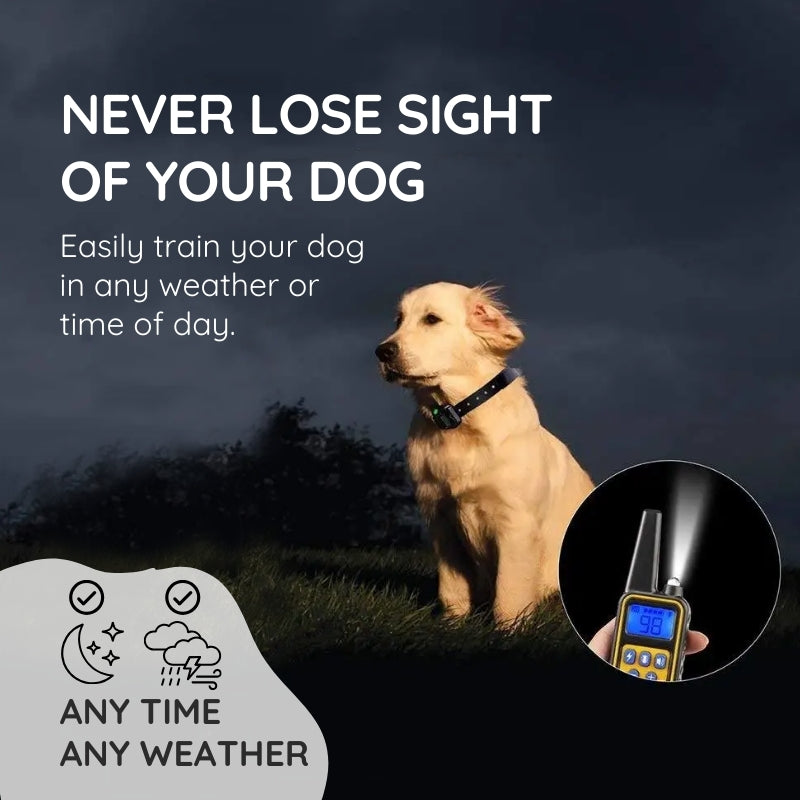 Raxiva remote dog training collar