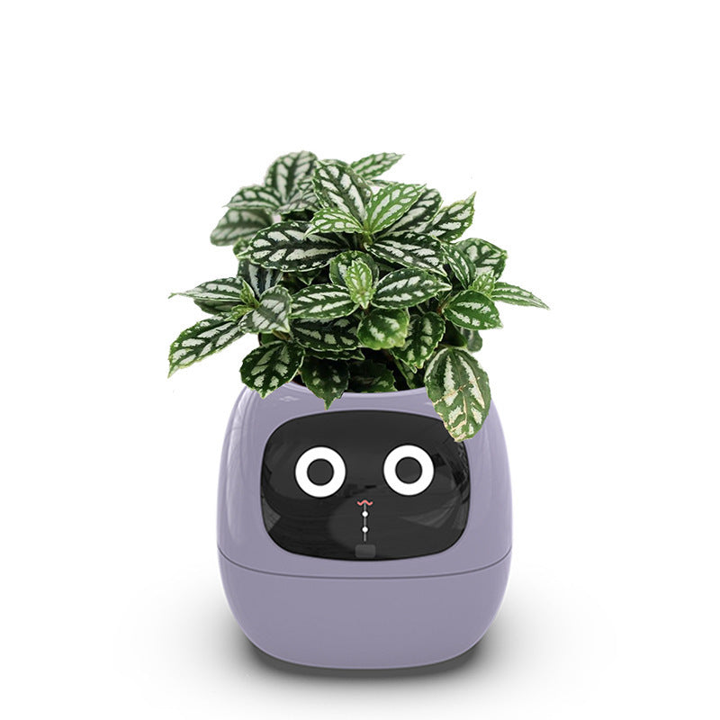 Raxiva-ivybot le compagnon vegetal revolutionnaire