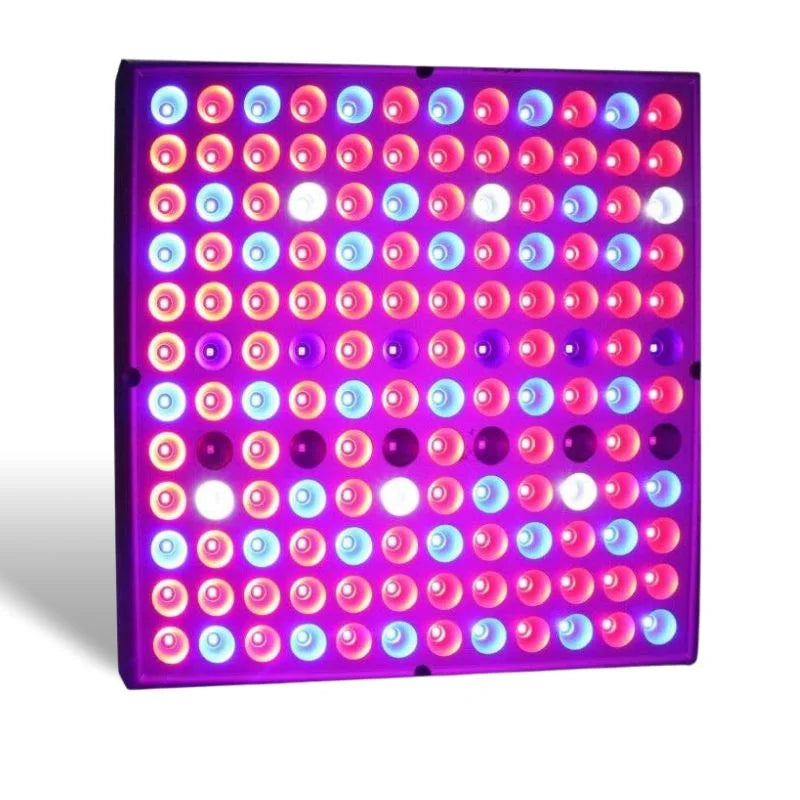 Raxiva growth led light