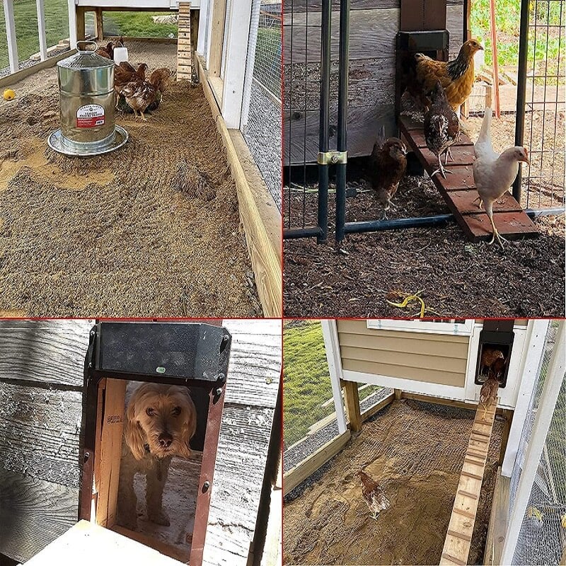 Raxiva-automatic chicken coop door opener light sensor