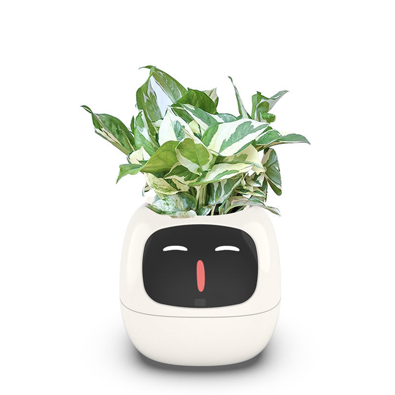 Raxiva-ivybot le compagnon vegetal revolutionnaire