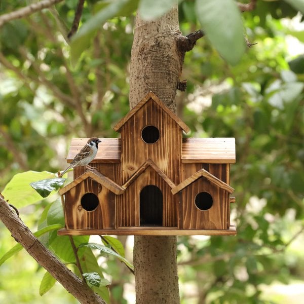 Raxiva-handcrafted wooden birdhouse 6 holes
