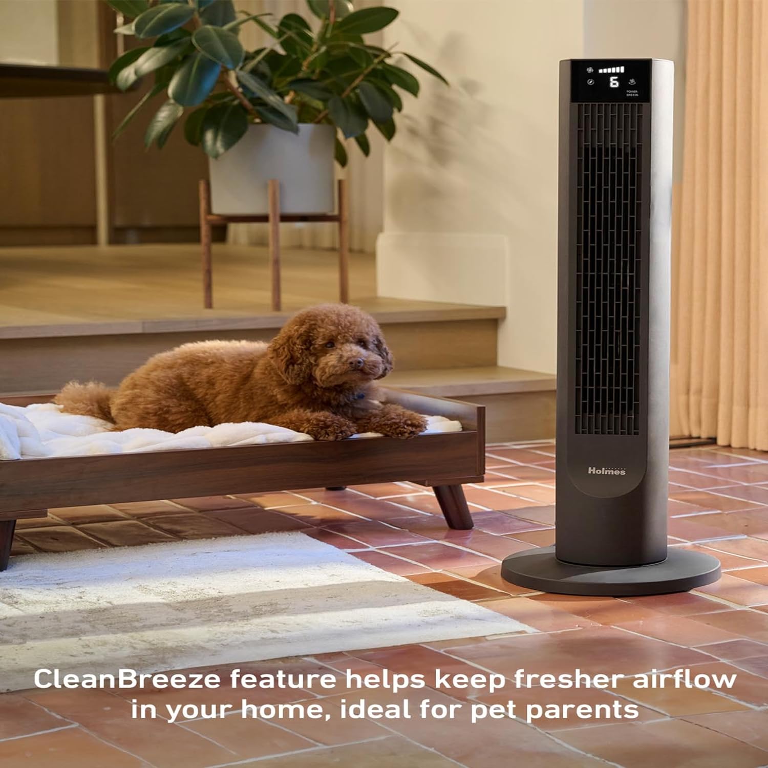 Oscillating Digital Tower Fan With Speed Control Switch-Raxiva-SKU3884170818420742140" Oscillating Digital Tower Fan With Speed Control Switch7491664740413, Oscillating Digital Tower Fan With Speed Control Switch, , Raxiva, 40" Oscillating Digital Tower Fan With Speed Control Switch,