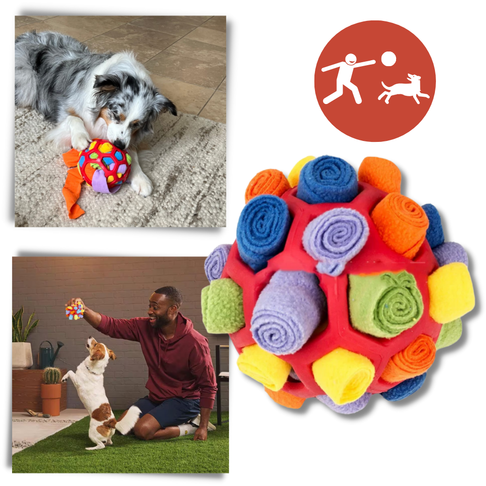 Raxiva - Mental Stimulator Snuffle Ball