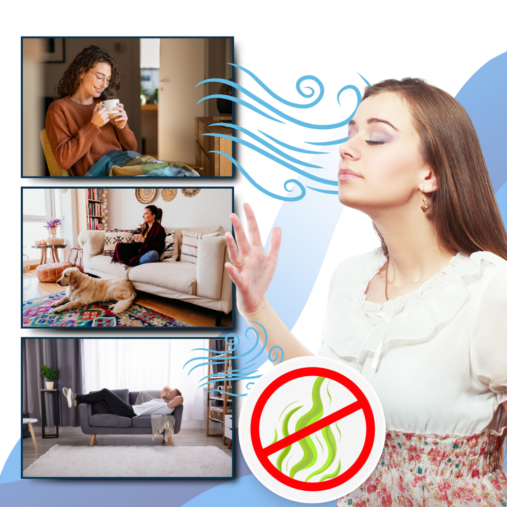 Raxiva - Multi-Surface UV Disinfectant Bulb