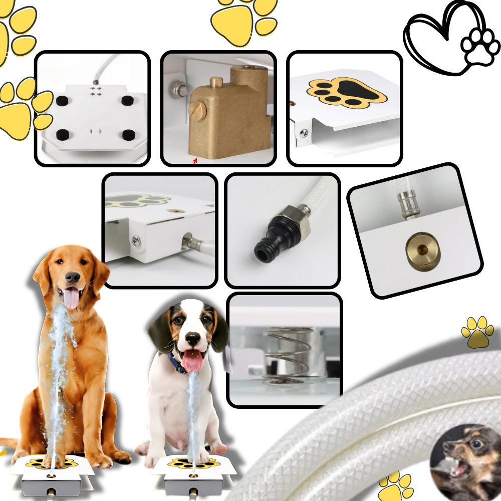Raxiva - Paw Activated Dog Water Fountain