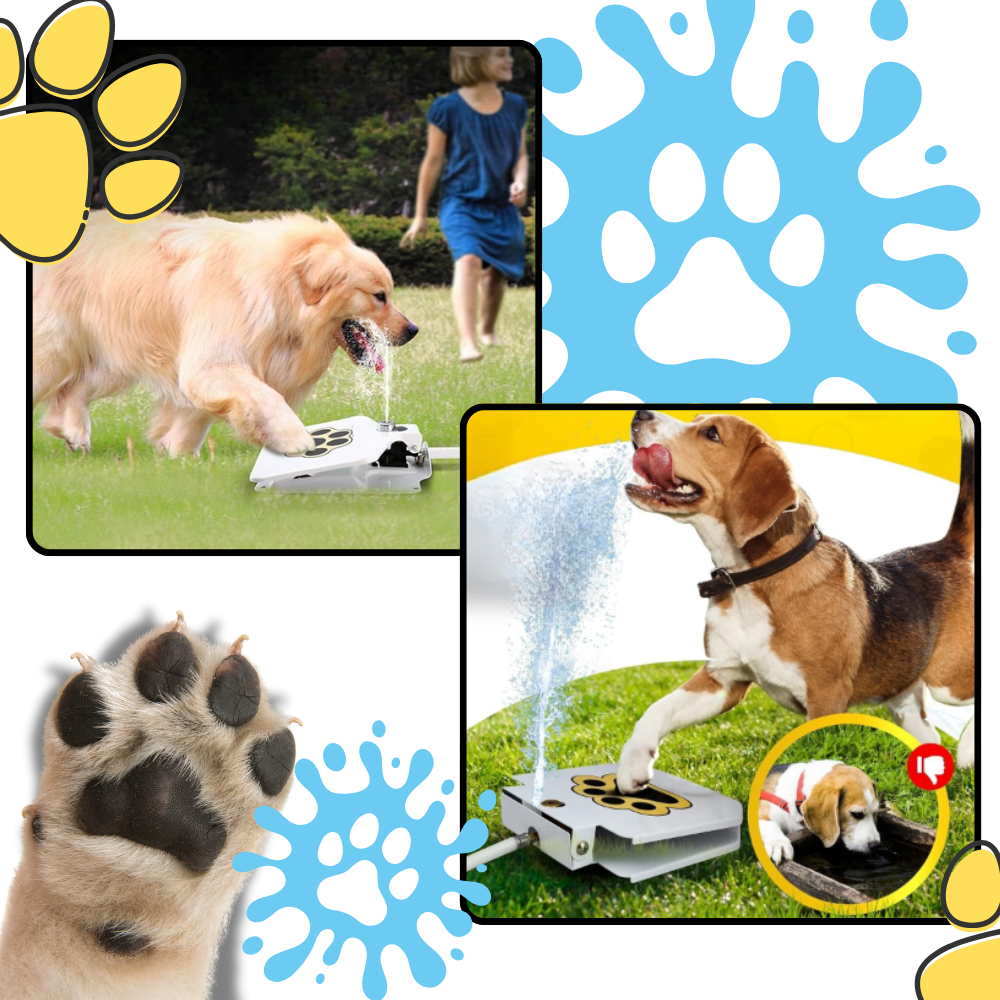 Raxiva - Paw Activated Dog Water Fountain