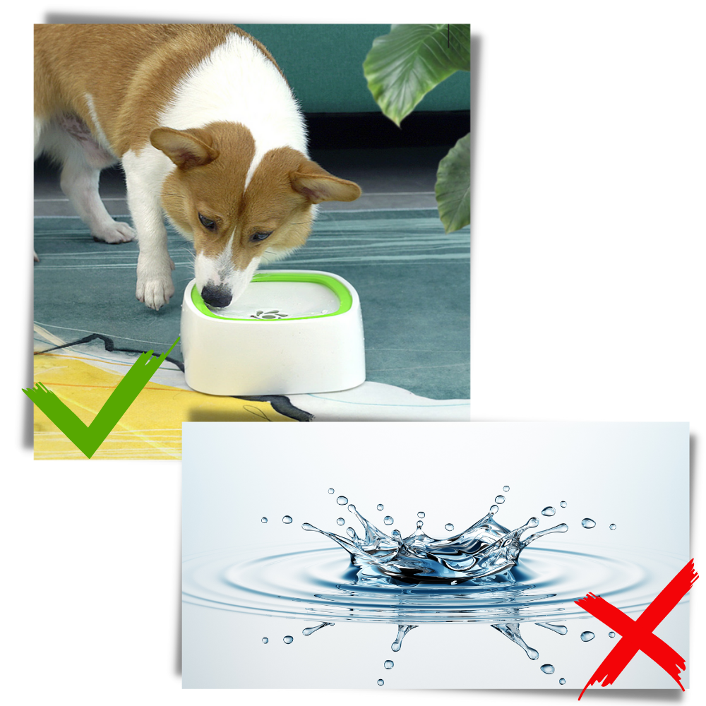 Raxiva - Pet Floating Water Bowl