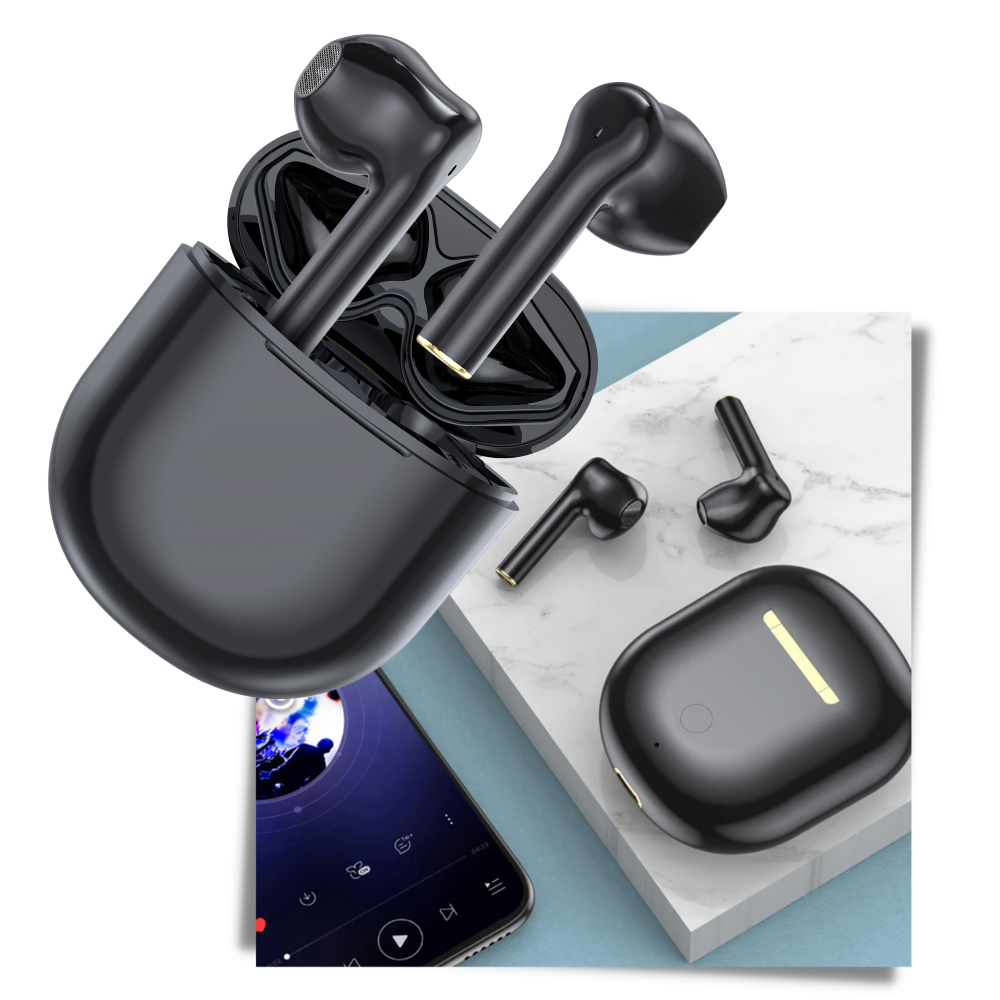 Raxiva - Portable Language Translator Earbuds