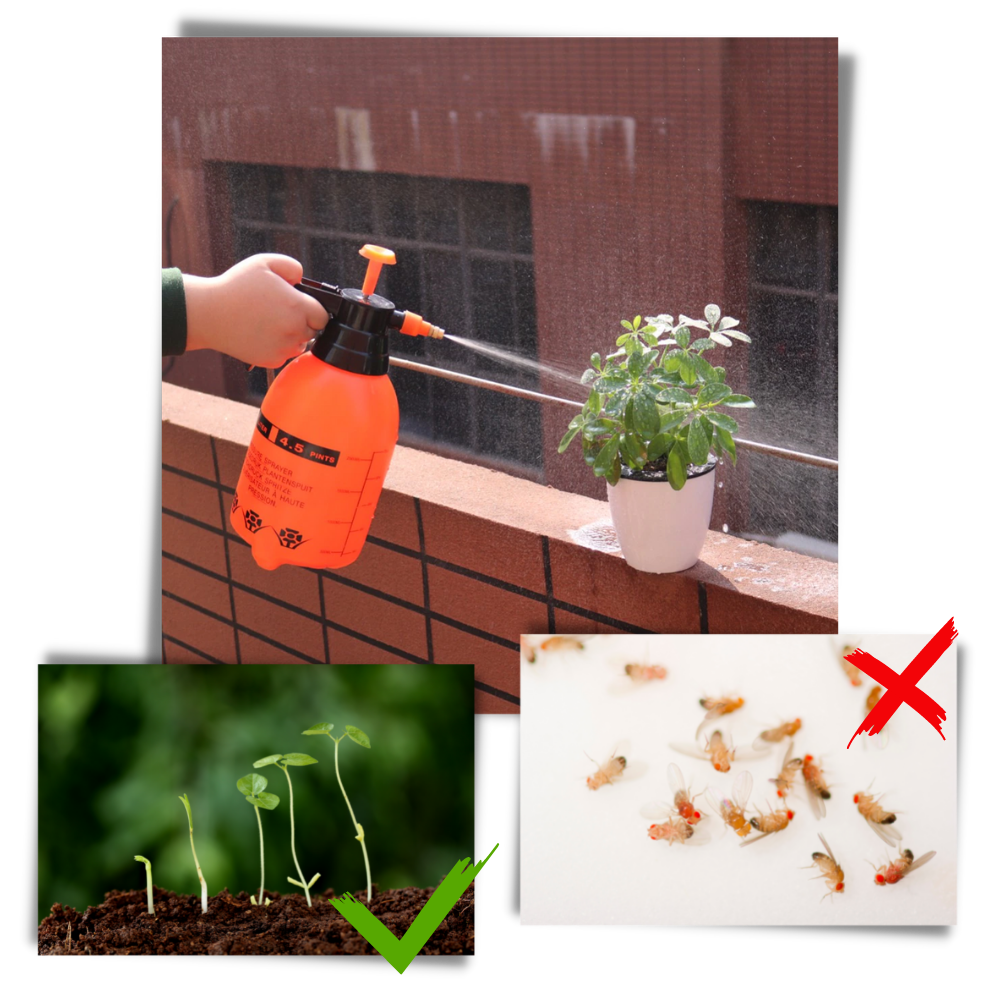 Raxiva - Pump Garden Sprayer