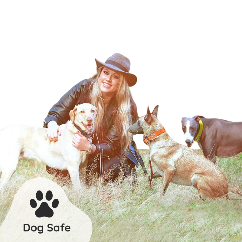 Raxiva - Remote Dog Training Collar