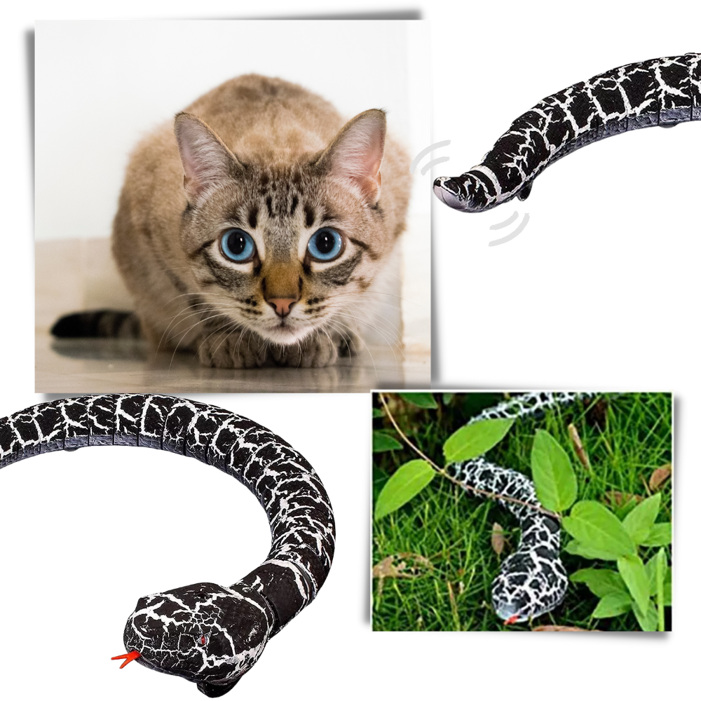 Raxiva - Remote control interactive snake toy for cat