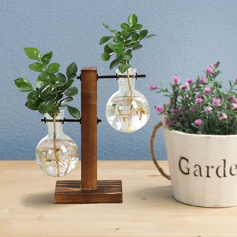 Raxiva - Wooden Frame Hydroponic Plant Vase