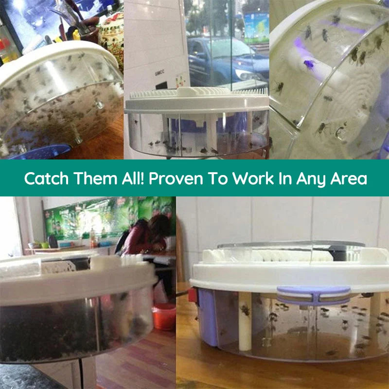 Raxiva the best silent usb fly trap in the world