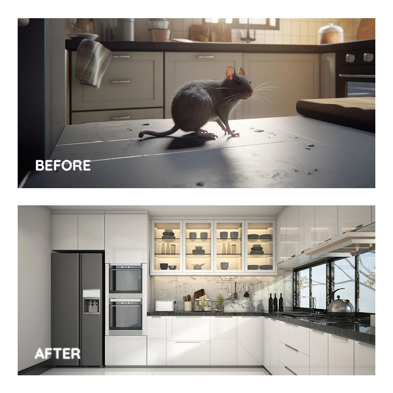 Raxiva ultrasonic rat repellent