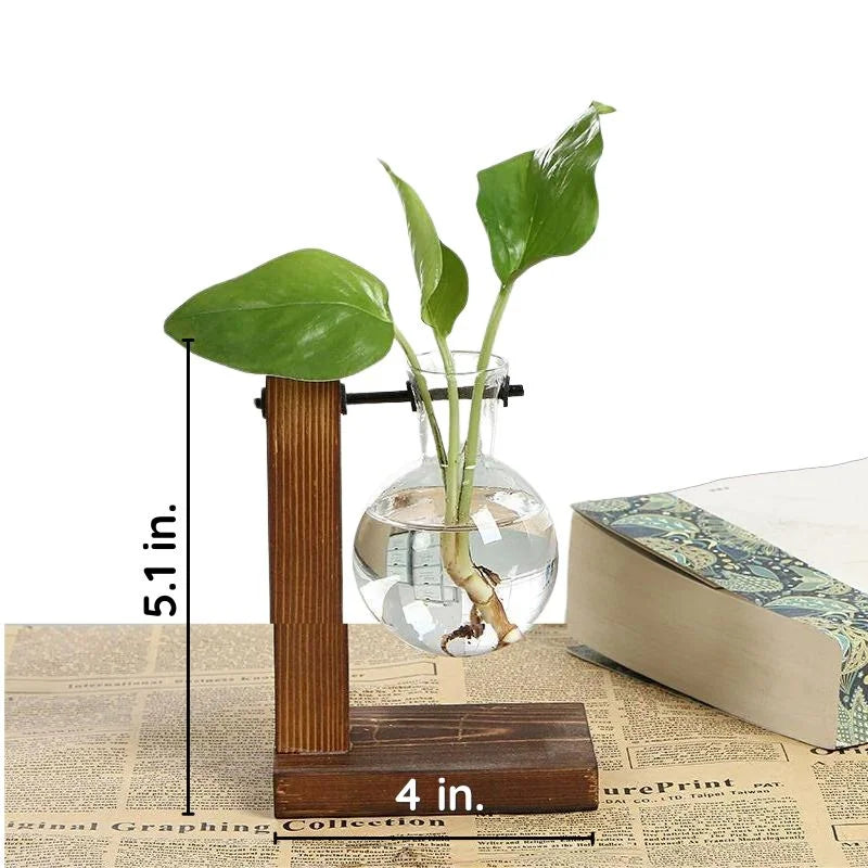 Raxiva wooden frame hydroponic plant holder