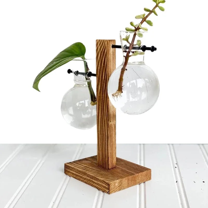 Raxiva wooden frame hydroponic plant holder