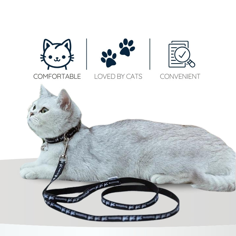 Raxiva cotton cat collar leash