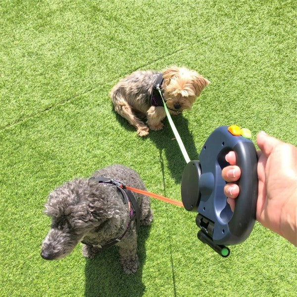 Raxiva-two dogs retractable leash