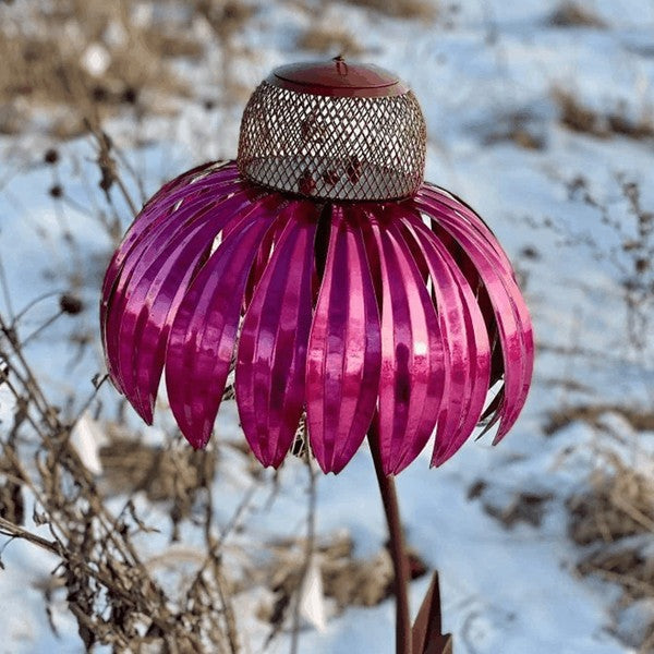 Raxiva-coneflower bird feeder