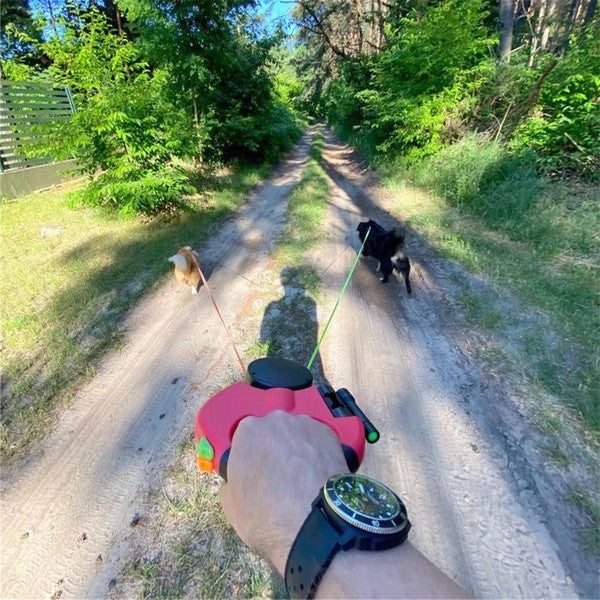 Raxiva-two dogs retractable leash