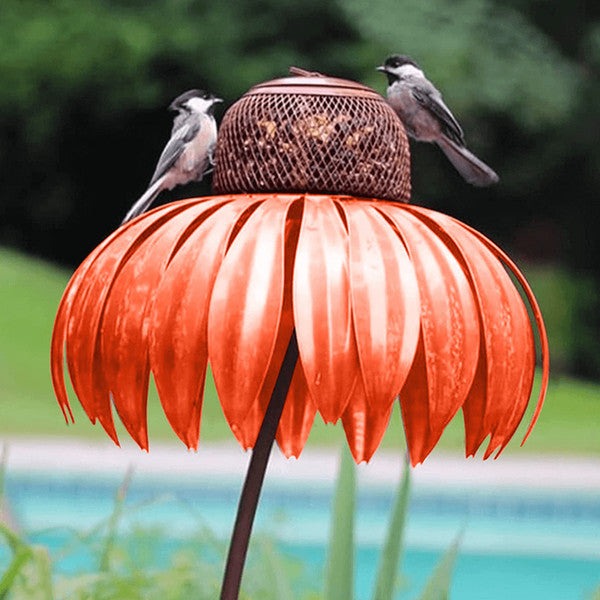 Raxiva-coneflower bird feeder