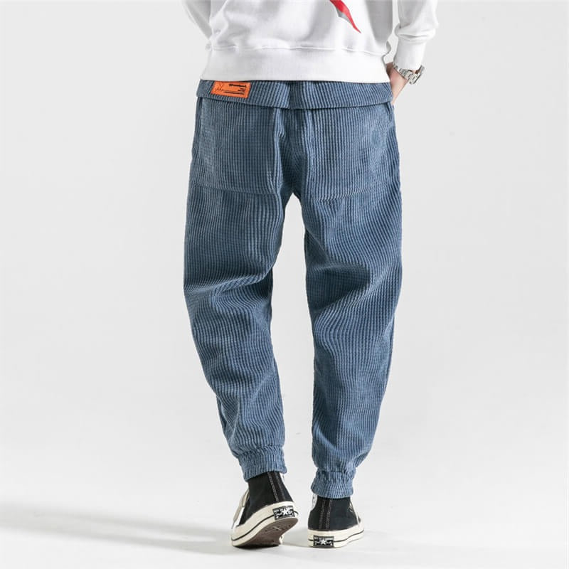 Raxiva-corduroy pants 1