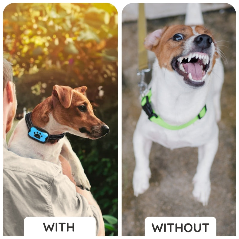 Raxiva humane no shock bark collar
