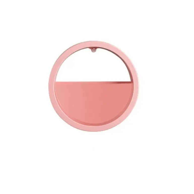 Raxiva-pot de fleurs mural chic