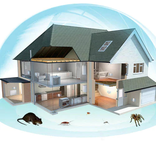 Raxiva-repulsif ultrasonique protection naturelle efficace