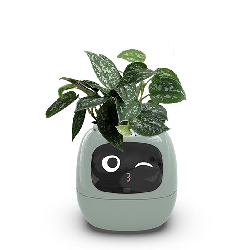 Raxiva-ivybot le compagnon vegetal revolutionnaire